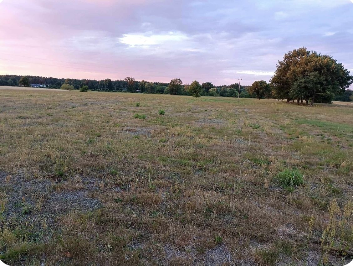 Działka budowlana Ruda. Zdjęcie 4