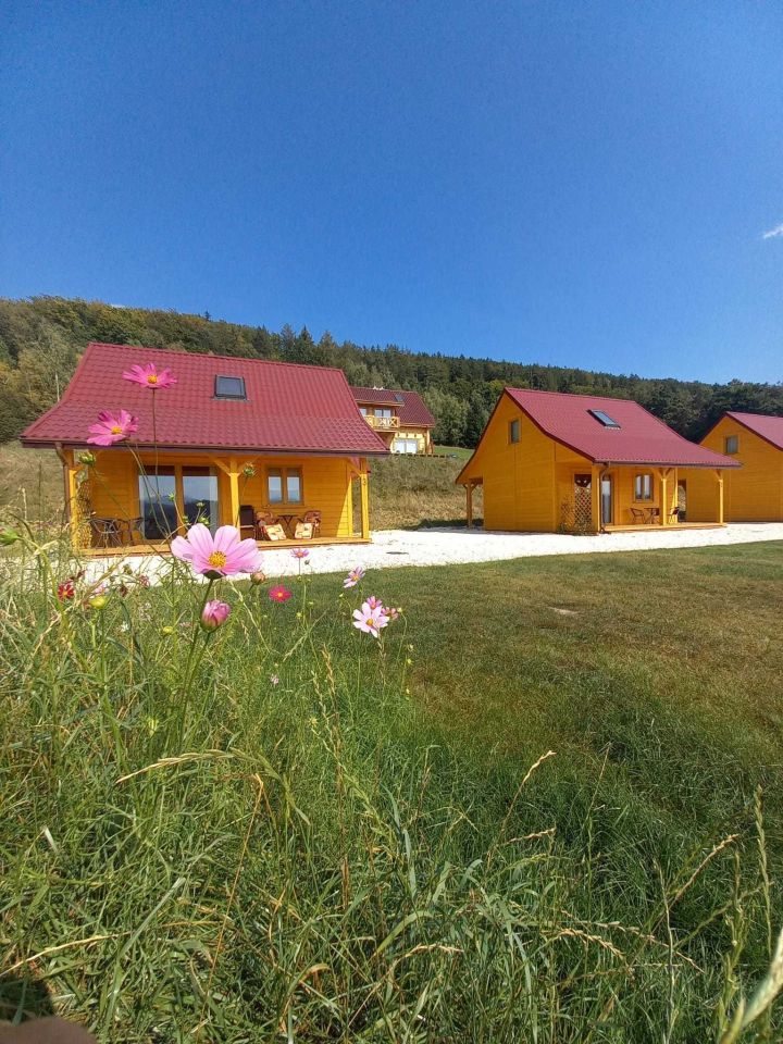 dom wolnostojący Radochów. Zdjęcie 8