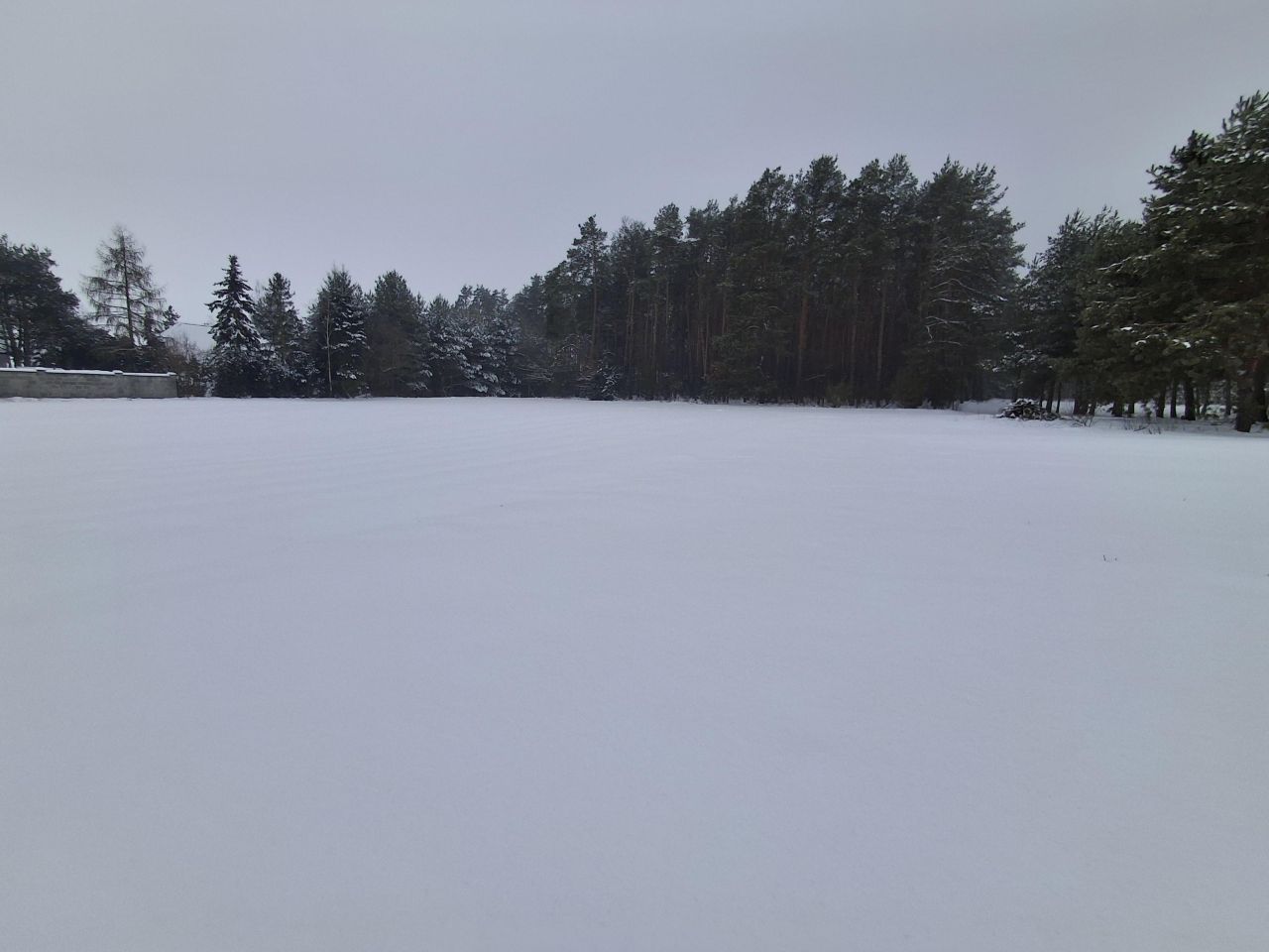 Działka budowlana Łąki, ul. Runa Leśnego. Zdjęcie 6