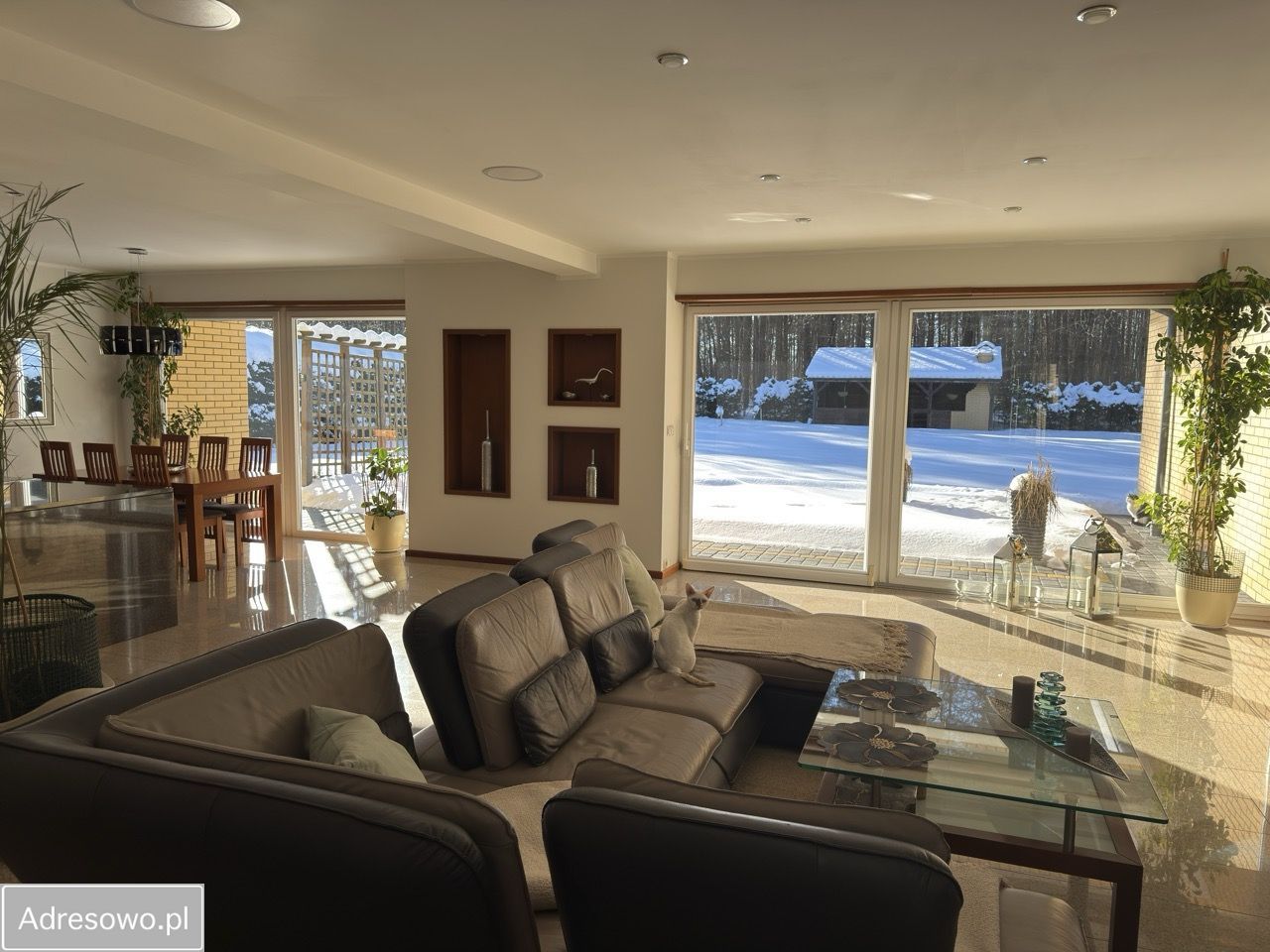 dom wolnostojący, 5 pokoi Międzylesie. Zdjęcie 11