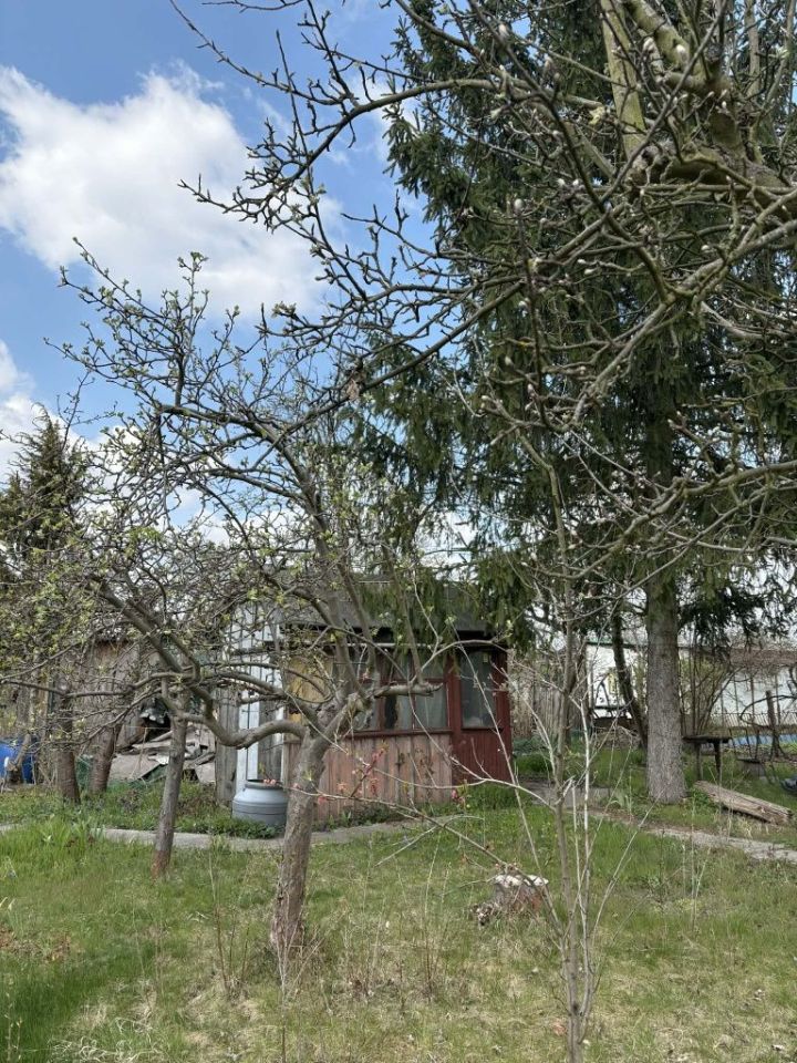 Działka rod Wrocław Krzyki, ul. Terenowa. Zdjęcie 5