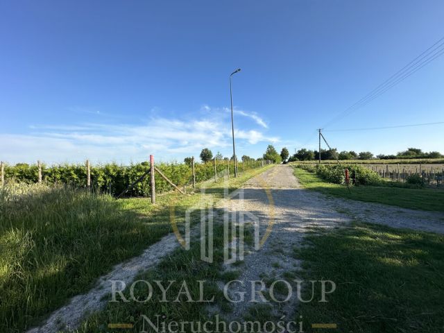 Działka siedliskowa Płouszowice-Kolonia. Zdjęcie 9