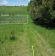 Działka rolno-budowlana Kiersztanowo. Zdjęcie 4