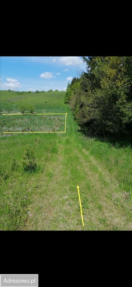 Działka rolno-budowlana Kiersztanowo. Zdjęcie 4