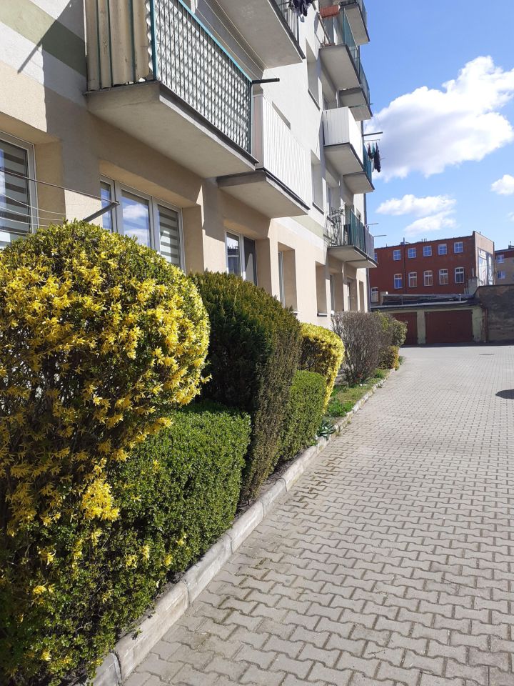 Mieszkanie 2-pokojowe Sulechów, ul. Tkacka. Zdjęcie 13