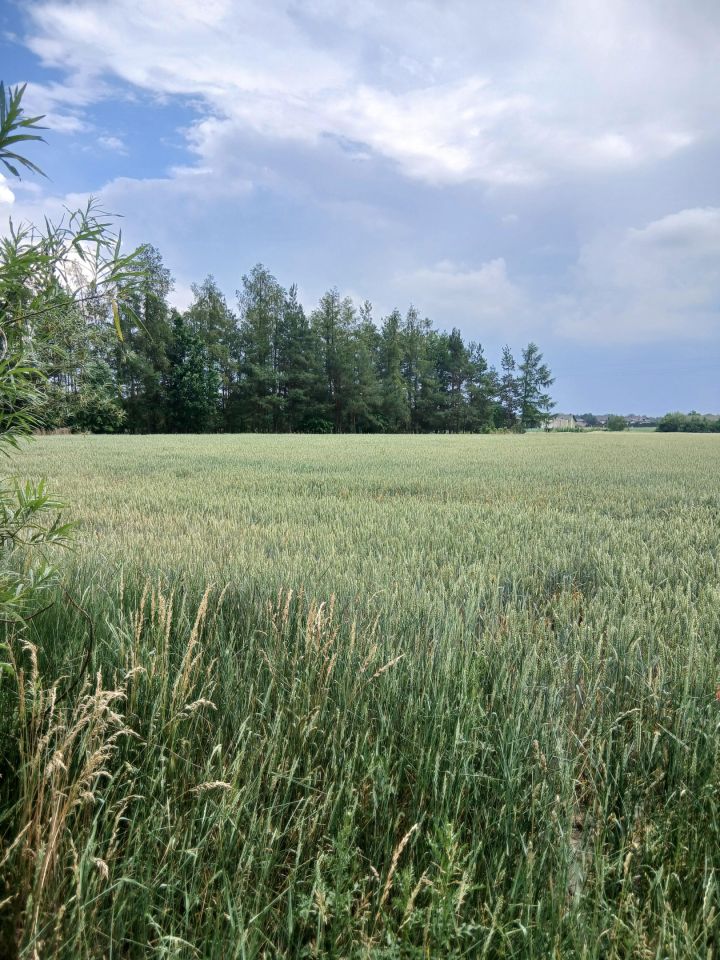 Działka na sprzedaż bez pośredników          
          
            Jedlanka - Widok 4
