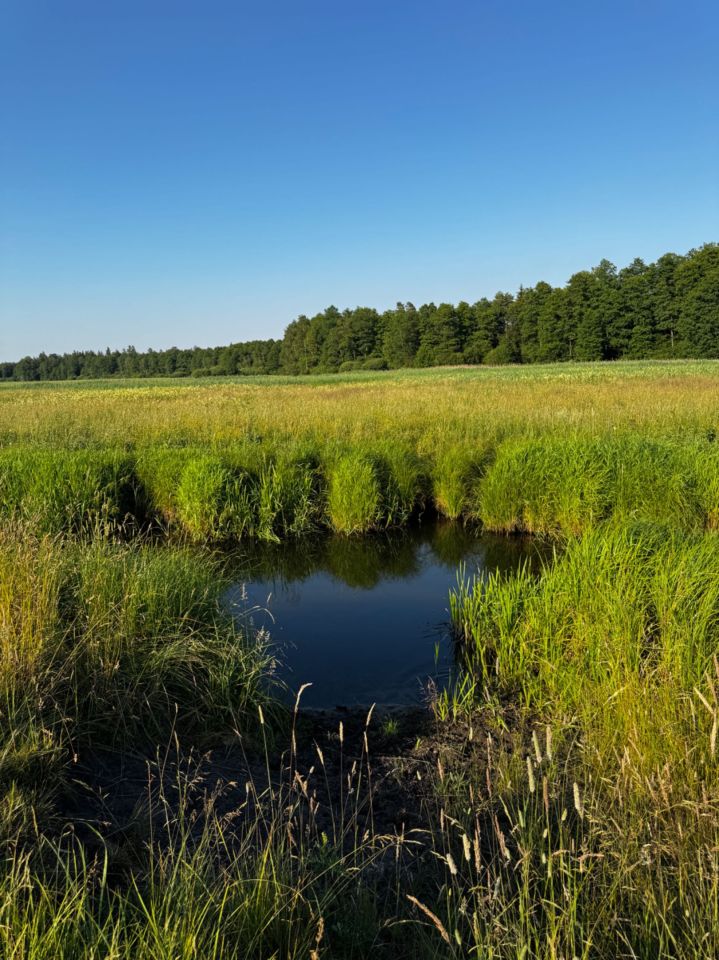 Działka rolna Cieliczanka. Zdjęcie 3