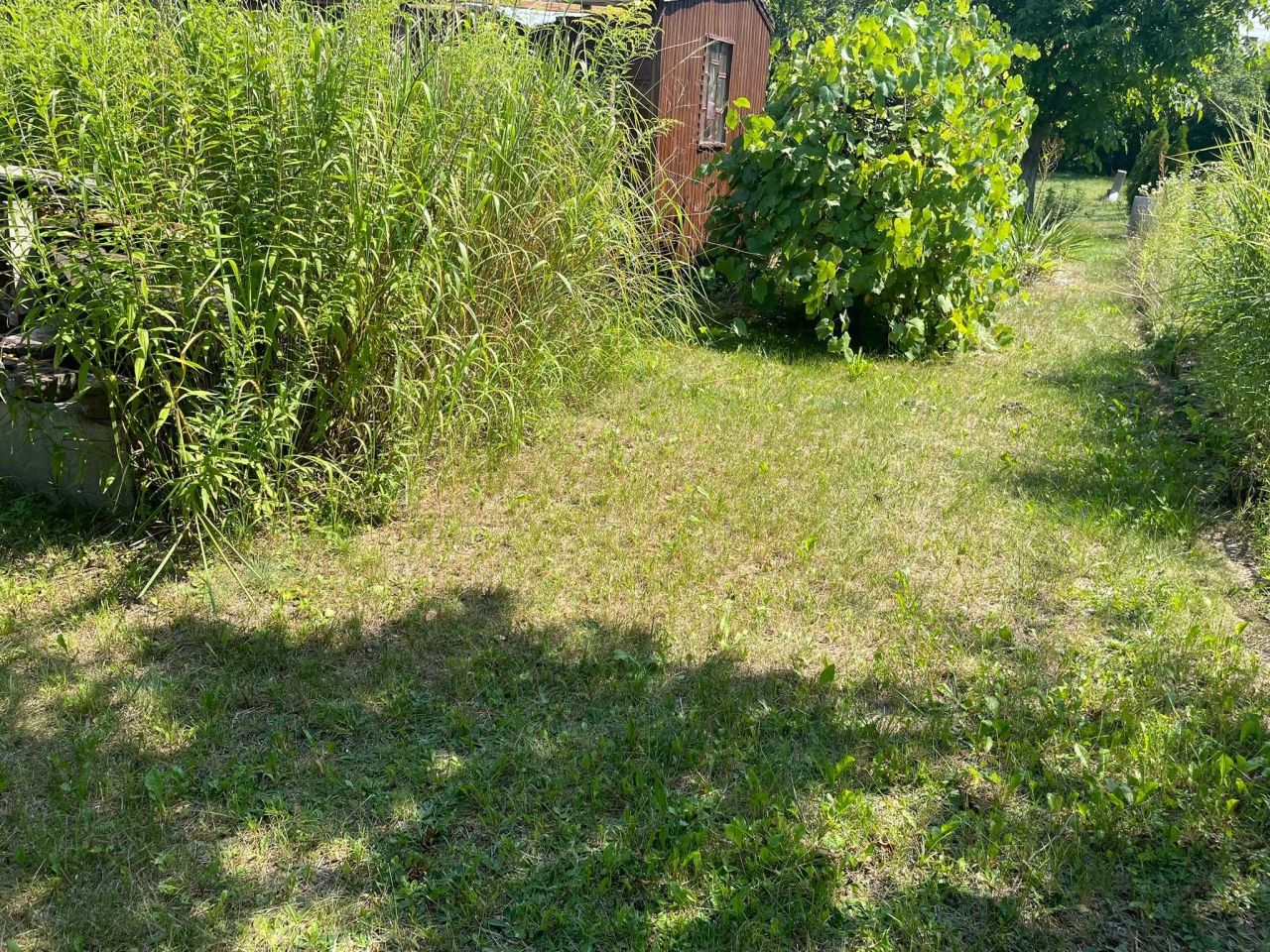Działka rod Ostrowiec Świętokrzyski, ul. Grabowiecka. Zdjęcie 6