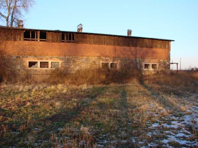 Działka budowlana Borów Wielki. Zdjęcie 8