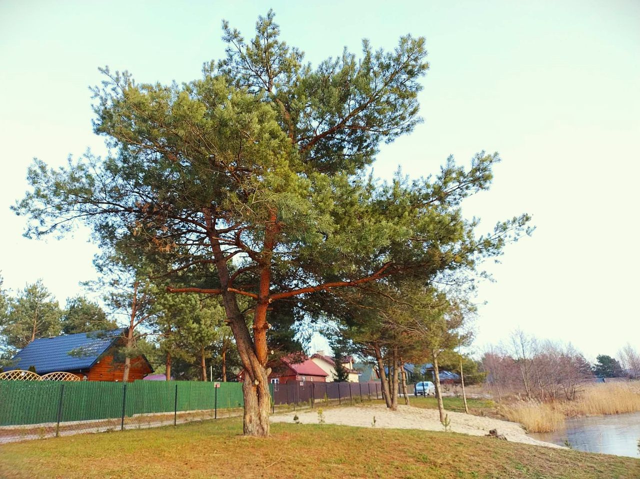 Działka rekreacyjna Brzóze Duże. Zdjęcie 7