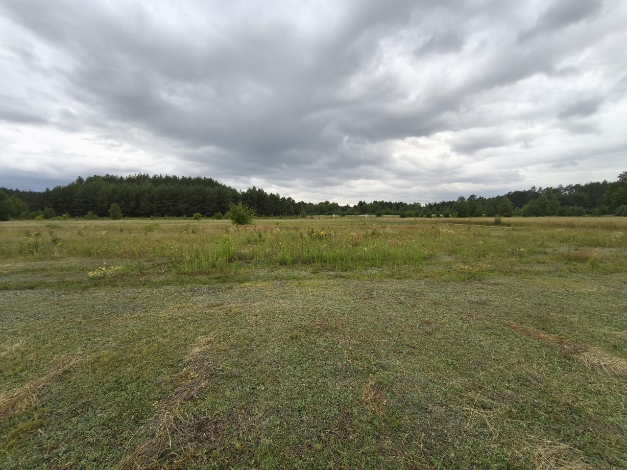 Działka budowlana Świniotop, ul. Damazego. Zdjęcie 2