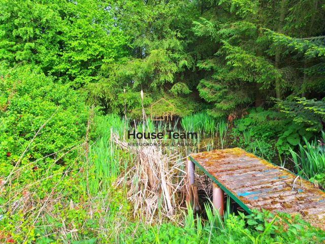 Działka rolna Czarnowo. Zdjęcie 5