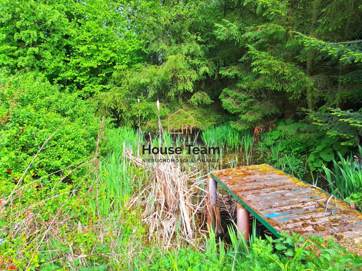 Działka rolna Czarnowo. Zdjęcie 5