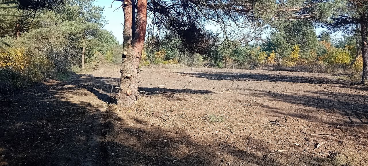 Działka budowlana Słubica Dobra, ul. Graniczna. Zdjęcie 3