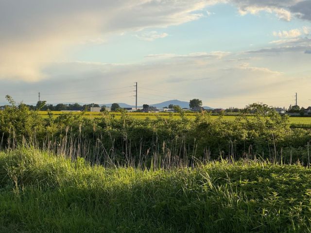 Działka budowlana Żerniki Wrocławskie, ul. Dębowa. Zdjęcie 6