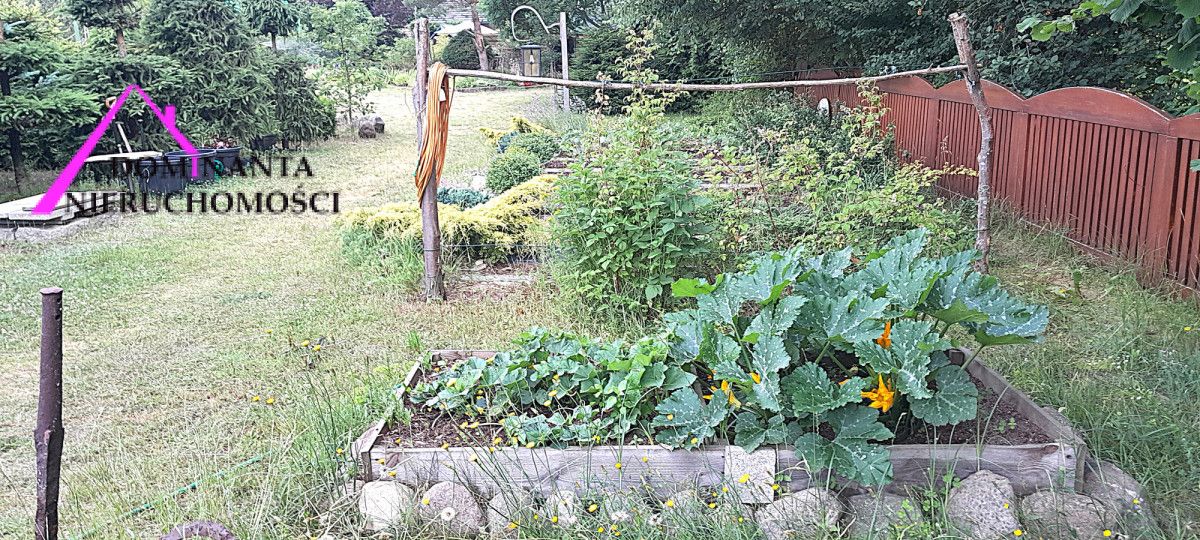 Działka rekreacyjna Śliwice Kocknieja, ul. Sosnowa. Zdjęcie 19