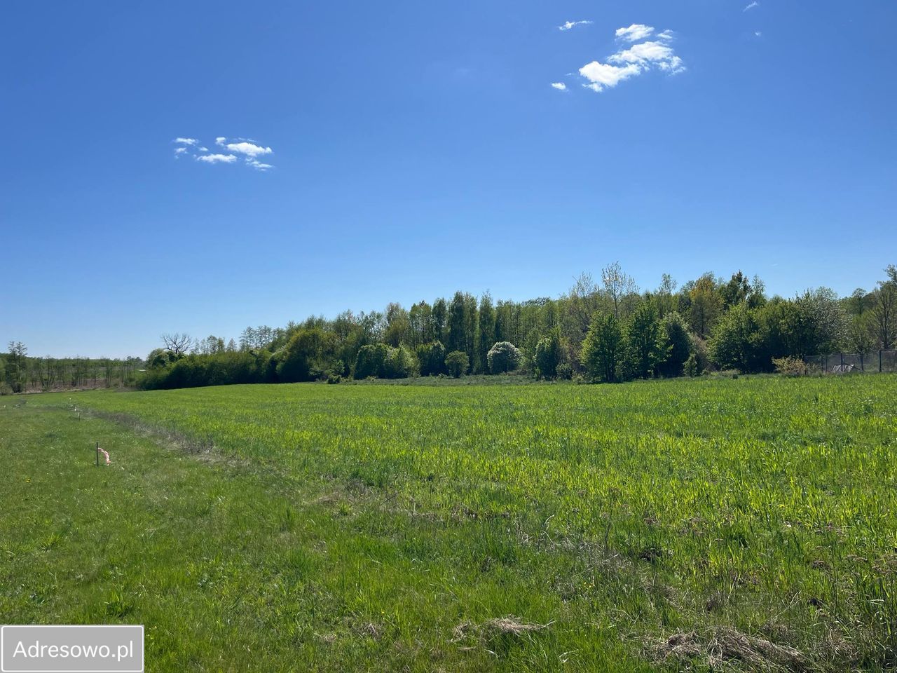 Działka budowlana Pokrzywnica, ul. Wiosenna. Zdjęcie 2