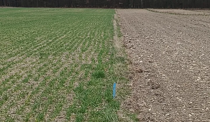 Działka rolno-budowlana Grązów