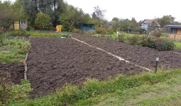 Działka rod Gdańsk Olszynka, ul. Kacza