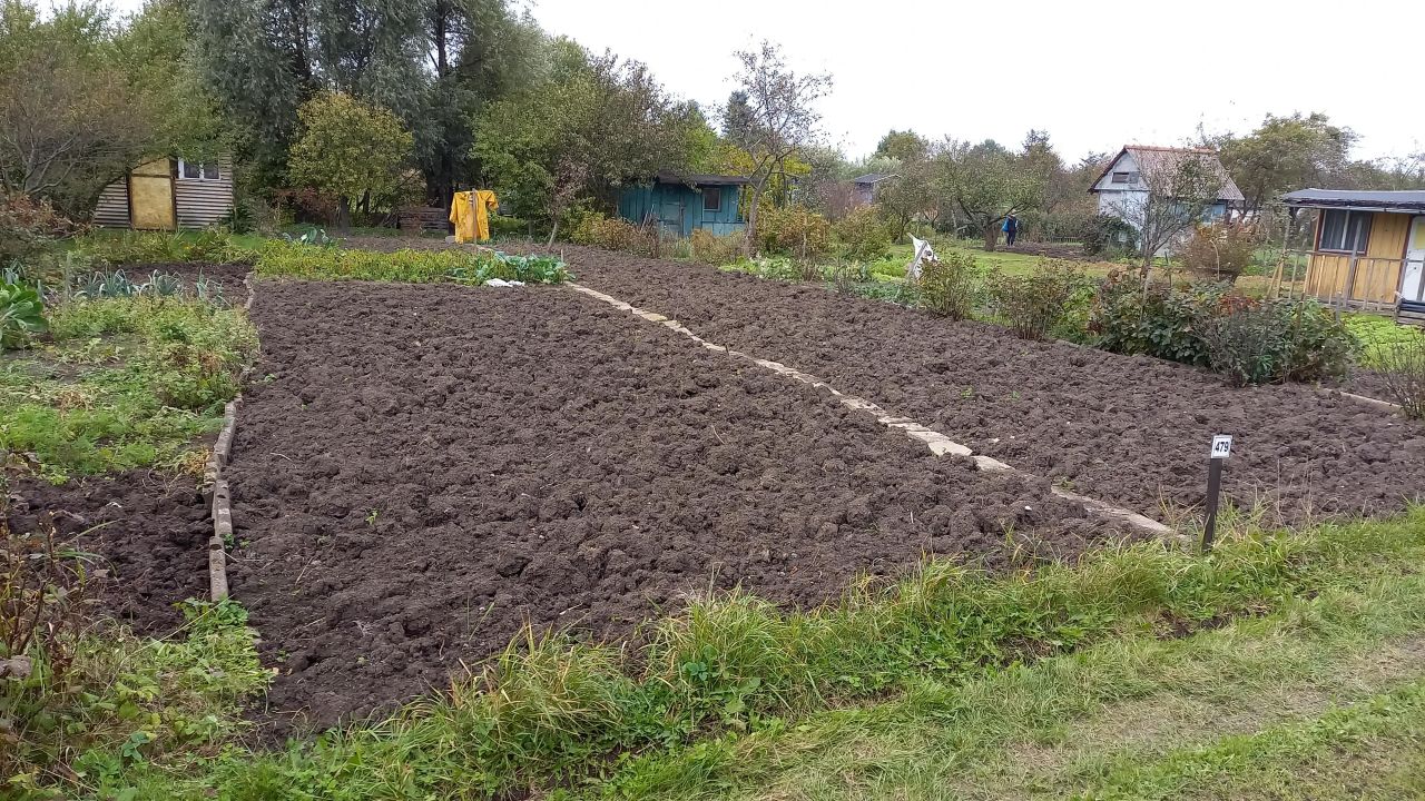 Działka rod Gdańsk Olszynka, ul. Kacza. Zdjęcie 1