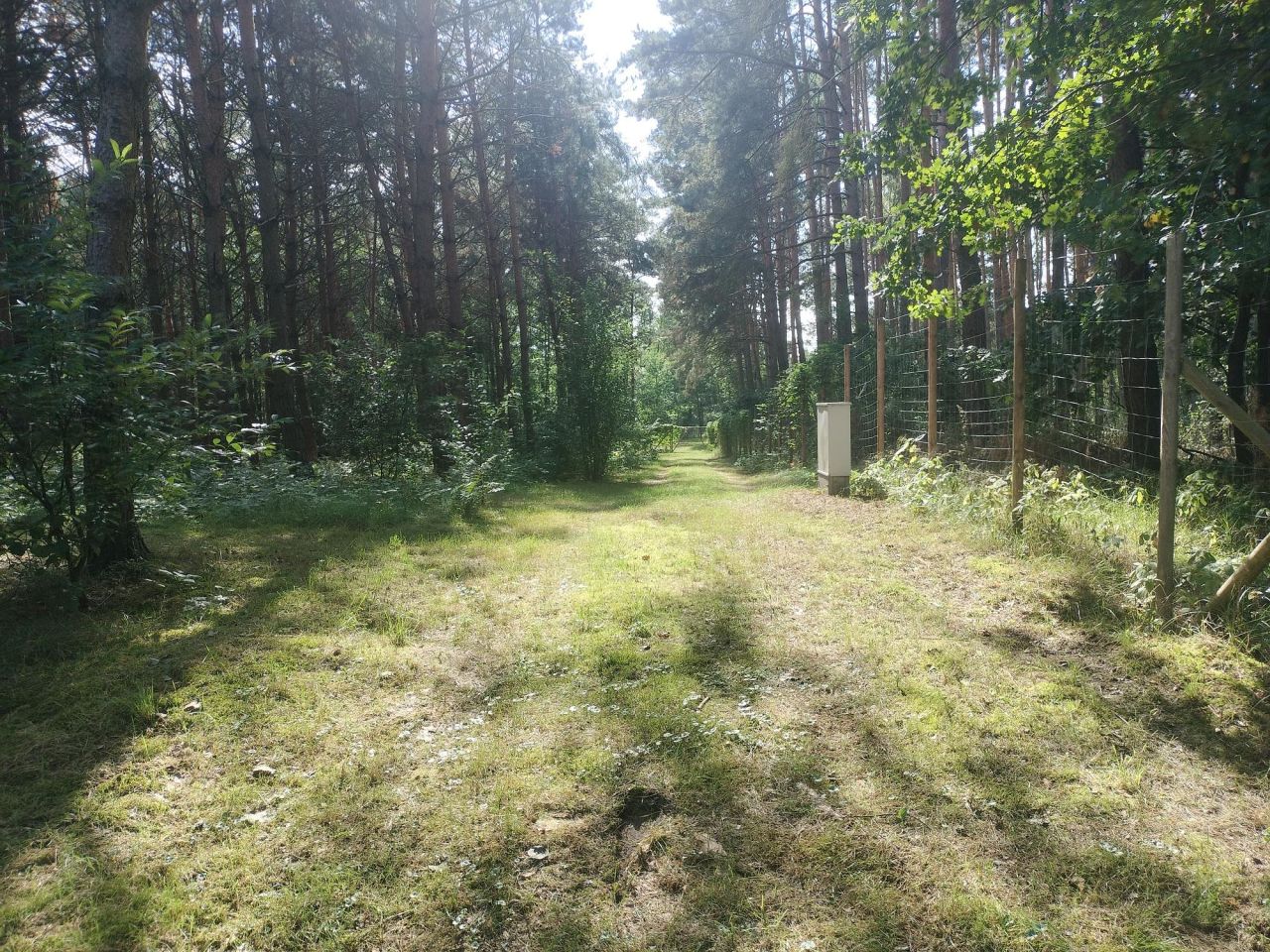 Działka budowlana Chomiąża Szlachecka. Zdjęcie 8