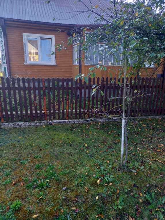 dom wolnostojący, 3 pokoje Zbucz. Zdjęcie 3