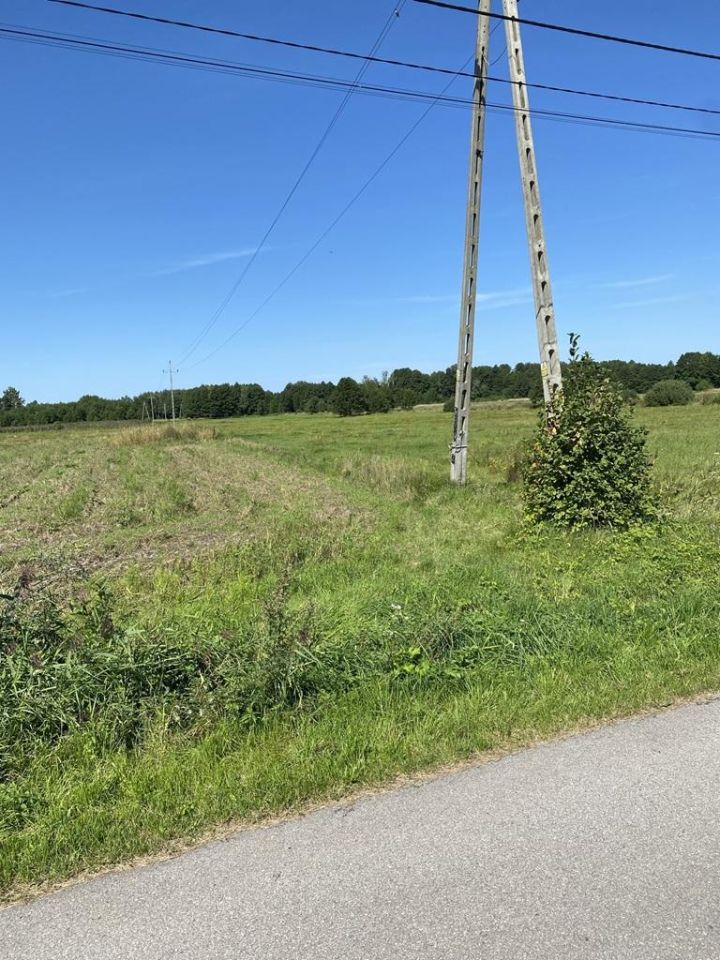 Działka rolna Zdziechów Lesica. Zdjęcie 3