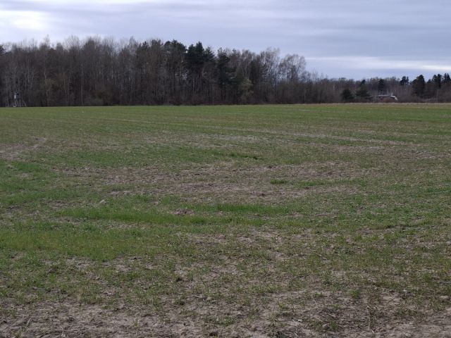 Działka inwestycyjna Charnowo. Zdjęcie 1