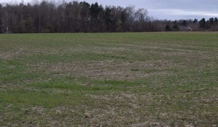 Działka inwestycyjna Charnowo