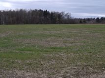 Działka inwestycyjna Charnowo