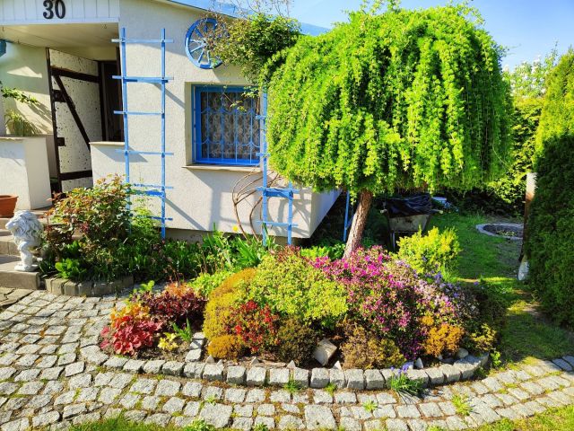 Działka rod Czechowice-Dziedzice. Zdjęcie 1