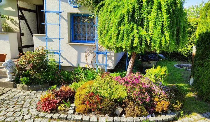 Działka rod Czechowice-Dziedzice