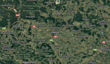 Lokal Legnica Centrum, ul. Dziennikarska