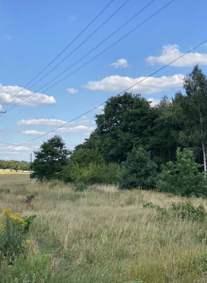 bliźniak Kluczkowo. Zdjęcie 6