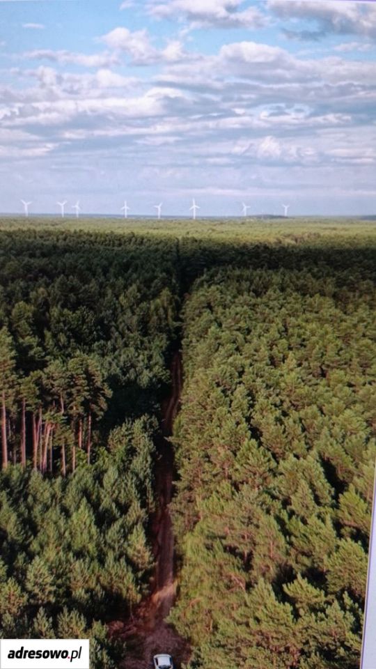 dom wolnostojący, 3 pokoje Czepurka Słomkowa Góra. Zdjęcie 19