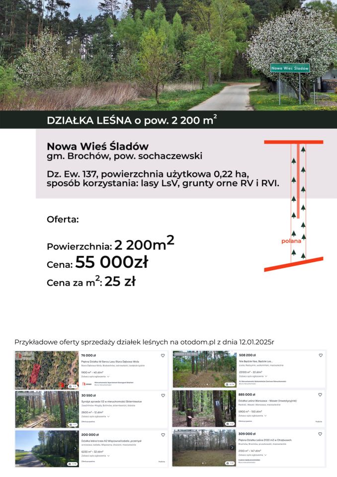 Działka leśna Nowa Wieś-Śladów. Zdjęcie 4