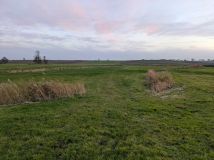 Działka rolna Lubawa. Zdjęcie 1