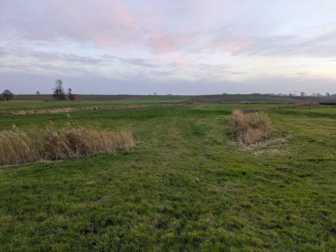 Działka rolna Lubawa. Zdjęcie 2