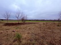 Działka inwestycyjna Orchówek. Zdjęcie 1