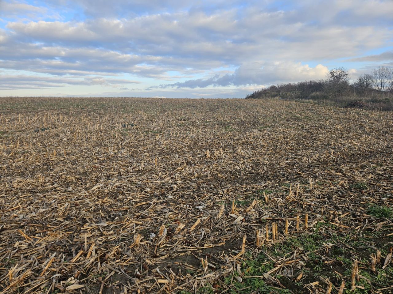 Działka rolna Snowidza. Zdjęcie 6