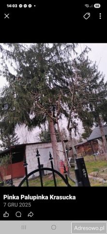 Działka rod Warszawa Wawer. Zdjęcie 1