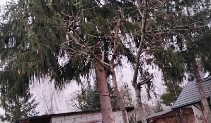 Działka rod Warszawa Wawer