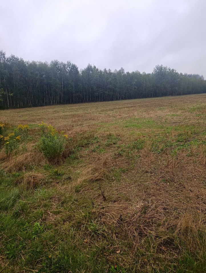 Działka budowlana Radoszyna. Zdjęcie 2