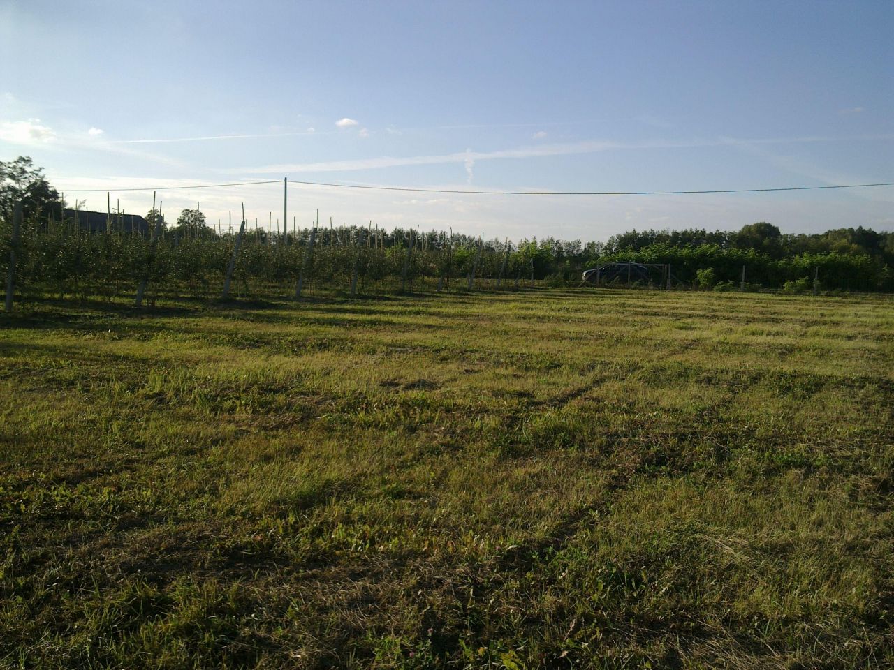 Działka rolna Miedzechów. Zdjęcie 4