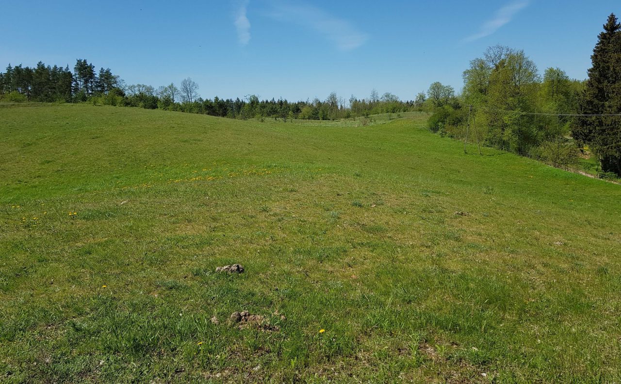 Działka budowlana Oracze. Zdjęcie 7