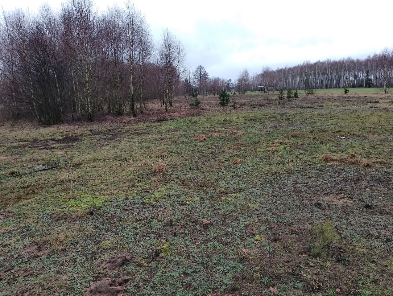 Działka budowlana Cisse. Zdjęcie 10