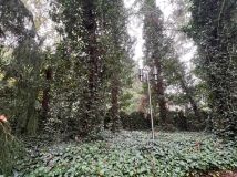 dom wolnostojący Żelazowa Wola. Zdjęcie 3