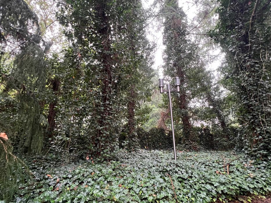 dom wolnostojący Żelazowa Wola. Zdjęcie 4