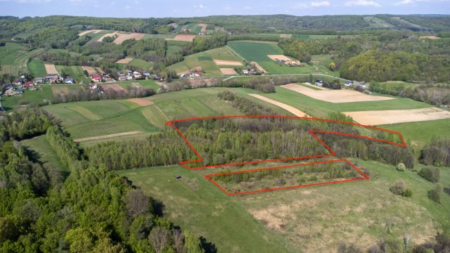 Działka rolna Laskówka. Zdjęcie 2