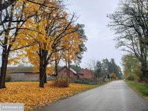 Działka rekreacyjna Zakrzówek Szlachecki. Zdjęcie 1